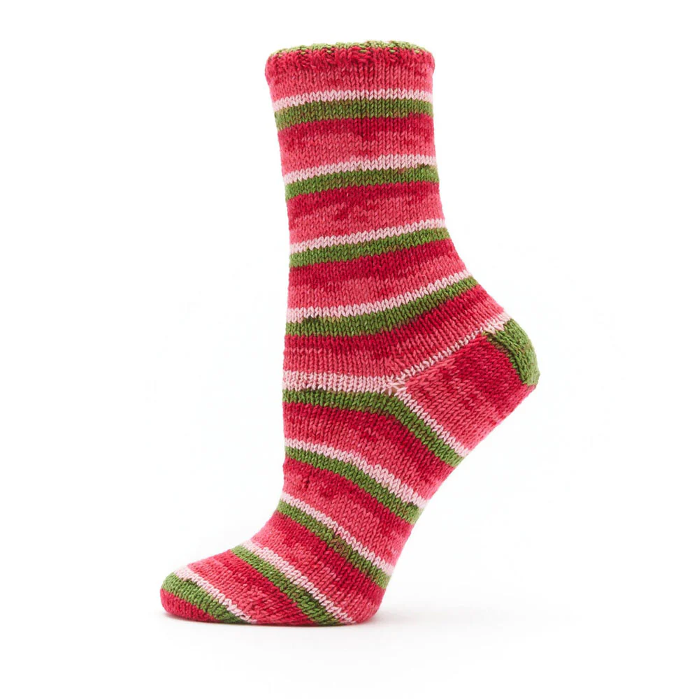 Premier Fruits Sock Yarn - Image 28