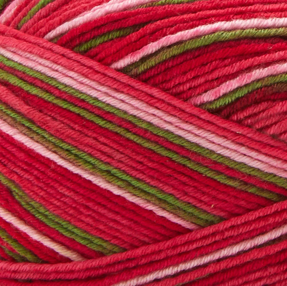 Premier Fruits Sock Yarn - Image 4