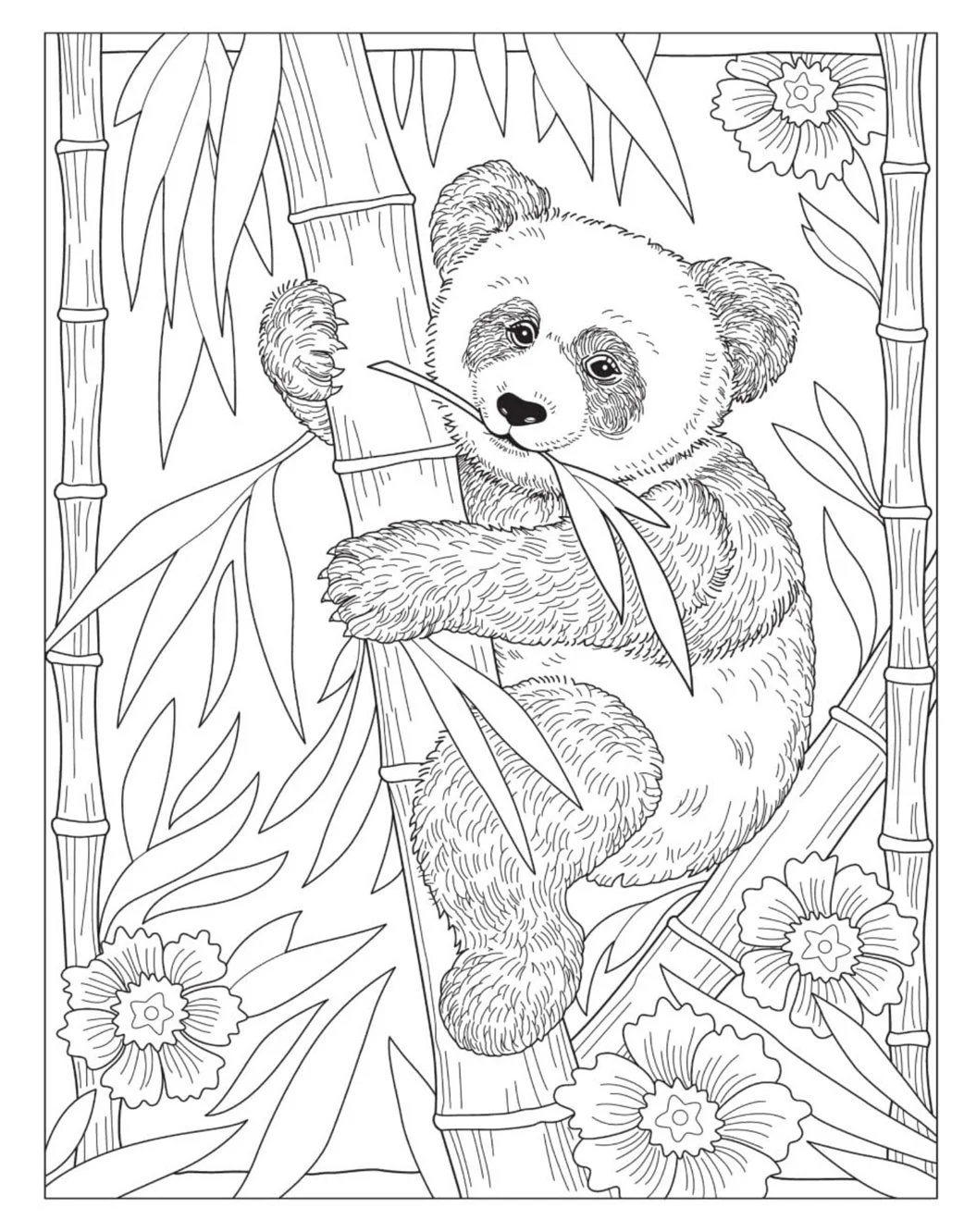 Stay Wild Coloring Book - Image 8