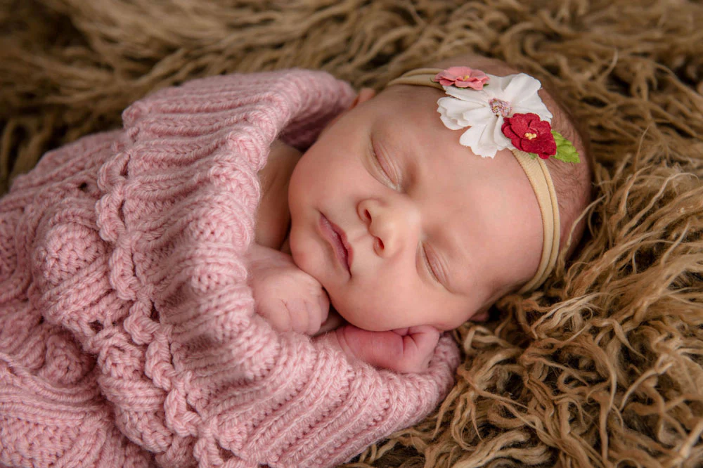 Sweet Pea Pod - Image 2