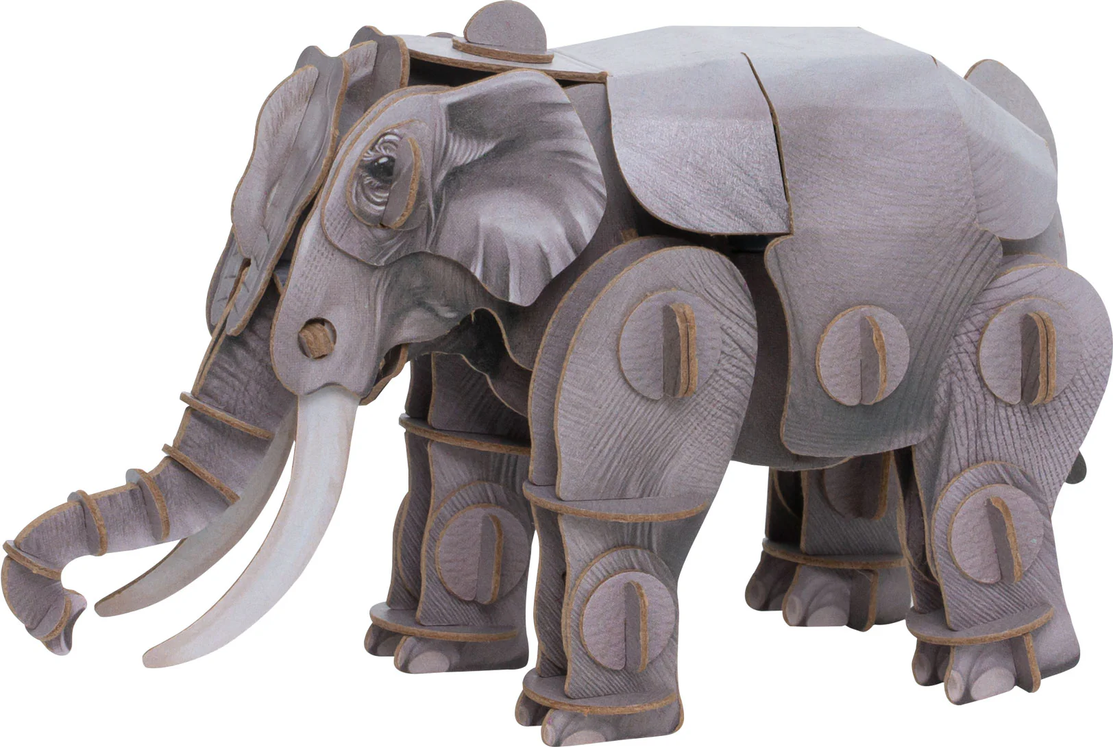 Voices of Nature - Asian Elephant