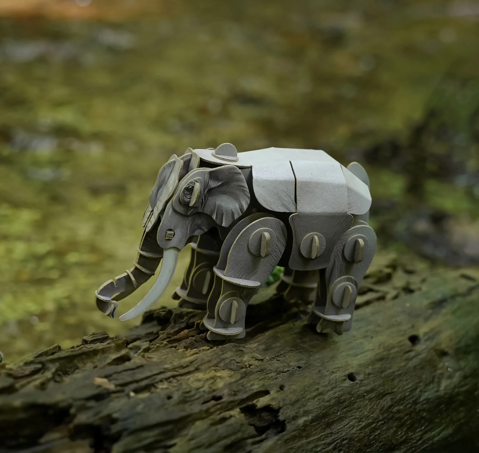 Voices of Nature - Asian Elephant - Image 4