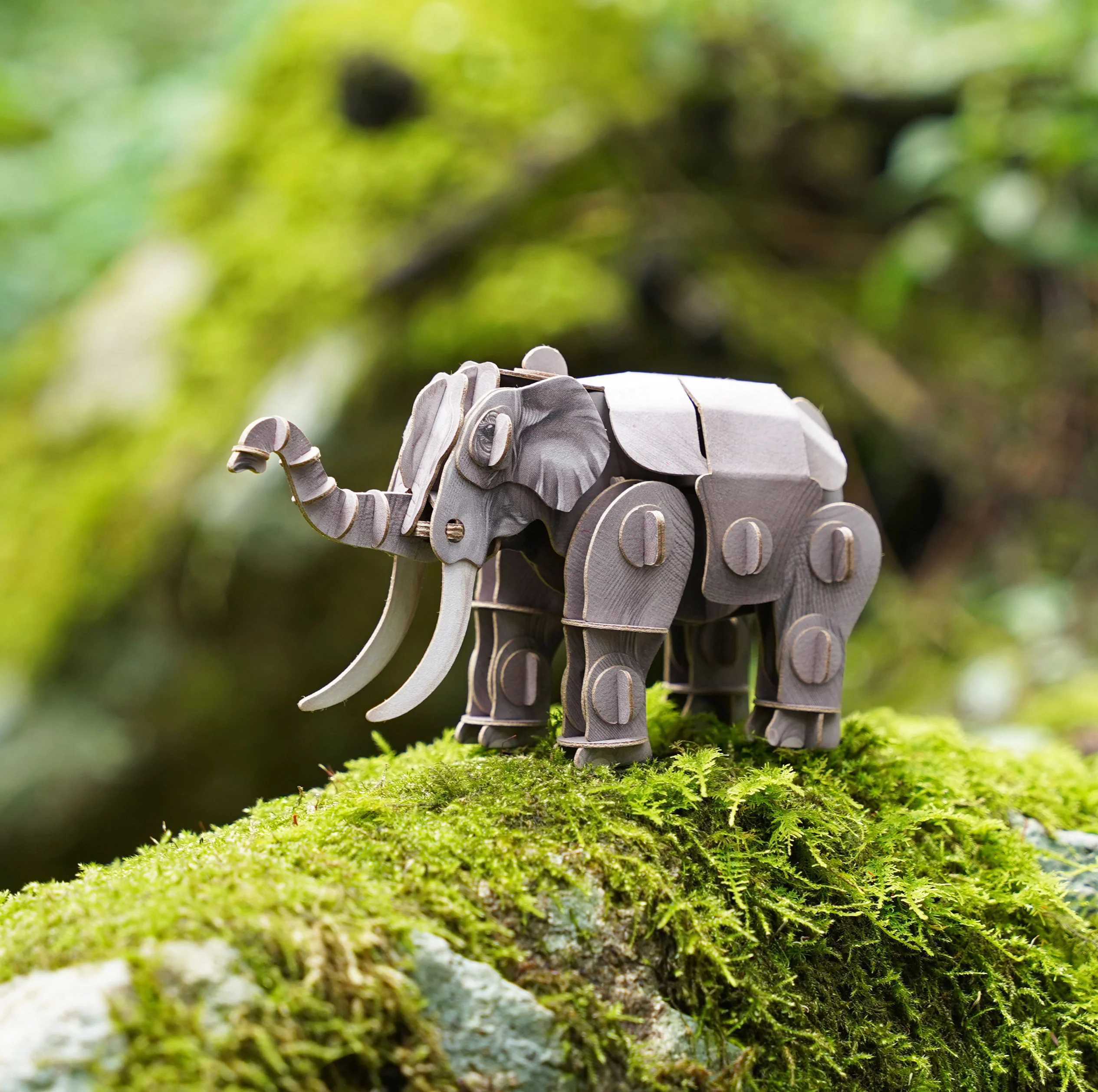 Voices of Nature - Asian Elephant - Image 5