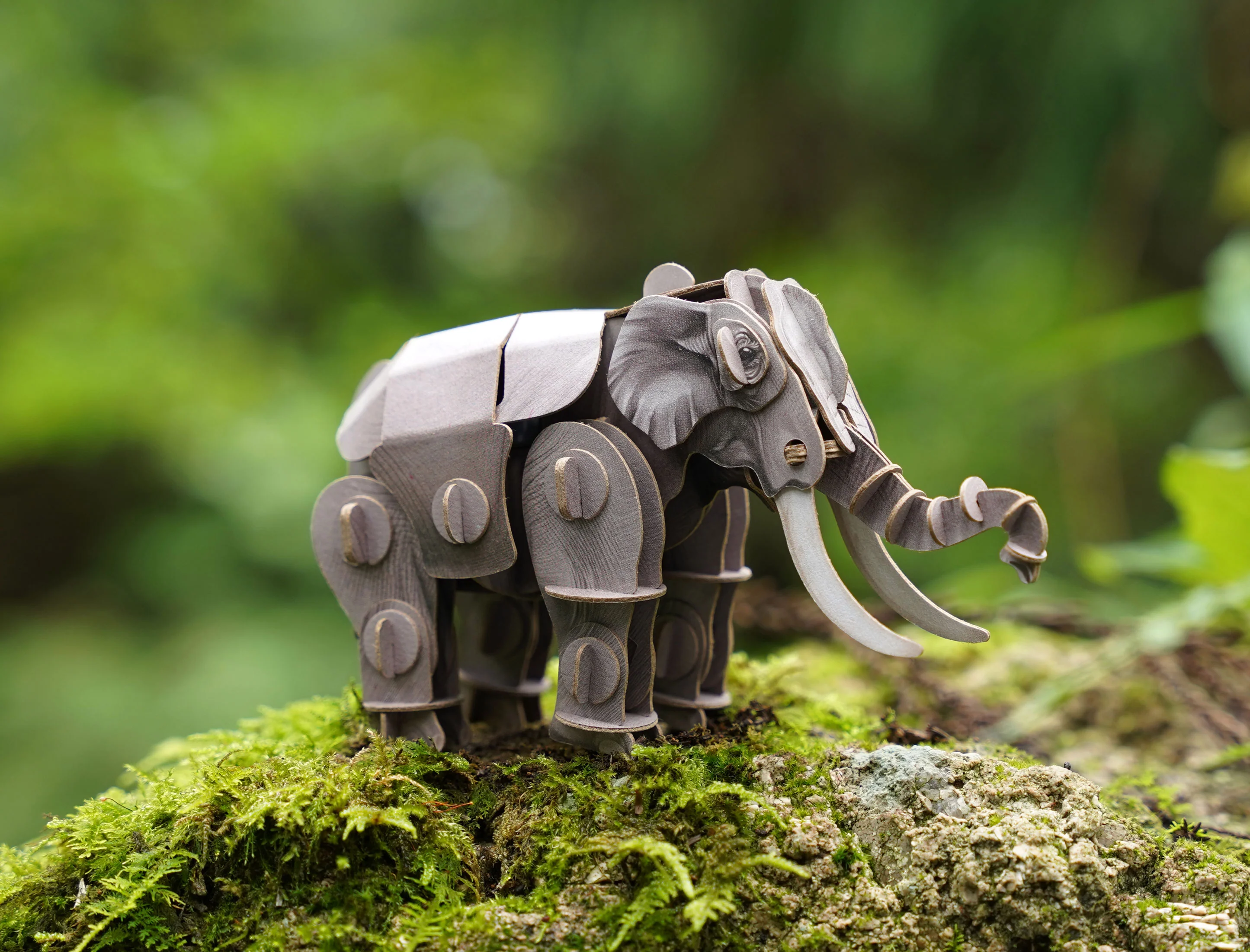 Voices of Nature - Asian Elephant - Image 6