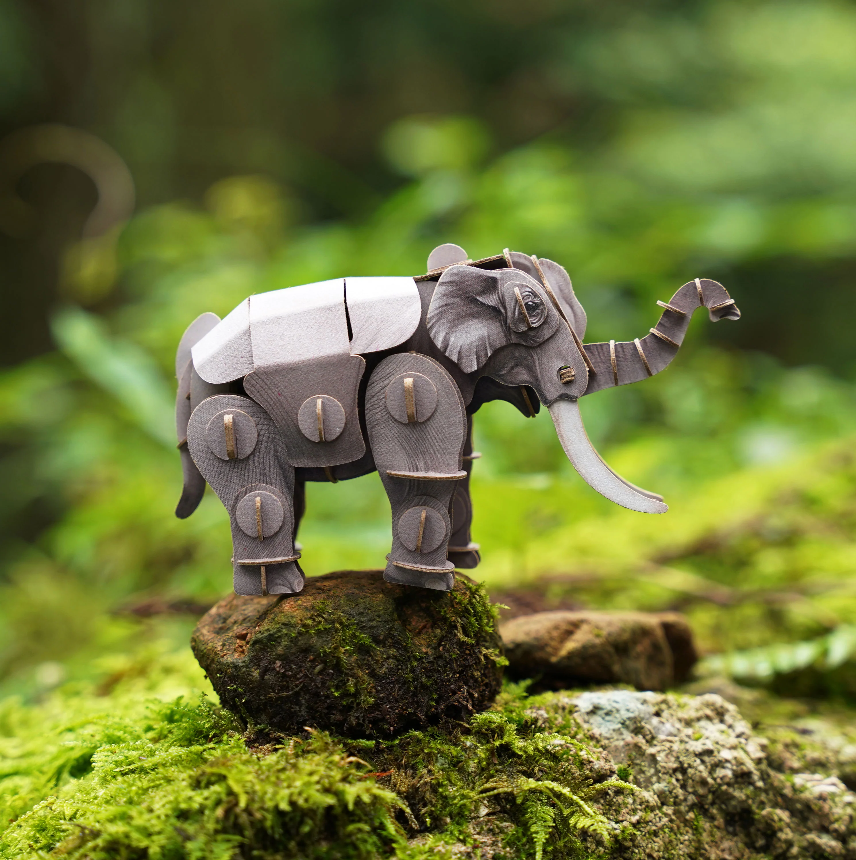 Voices of Nature - Asian Elephant - Image 7