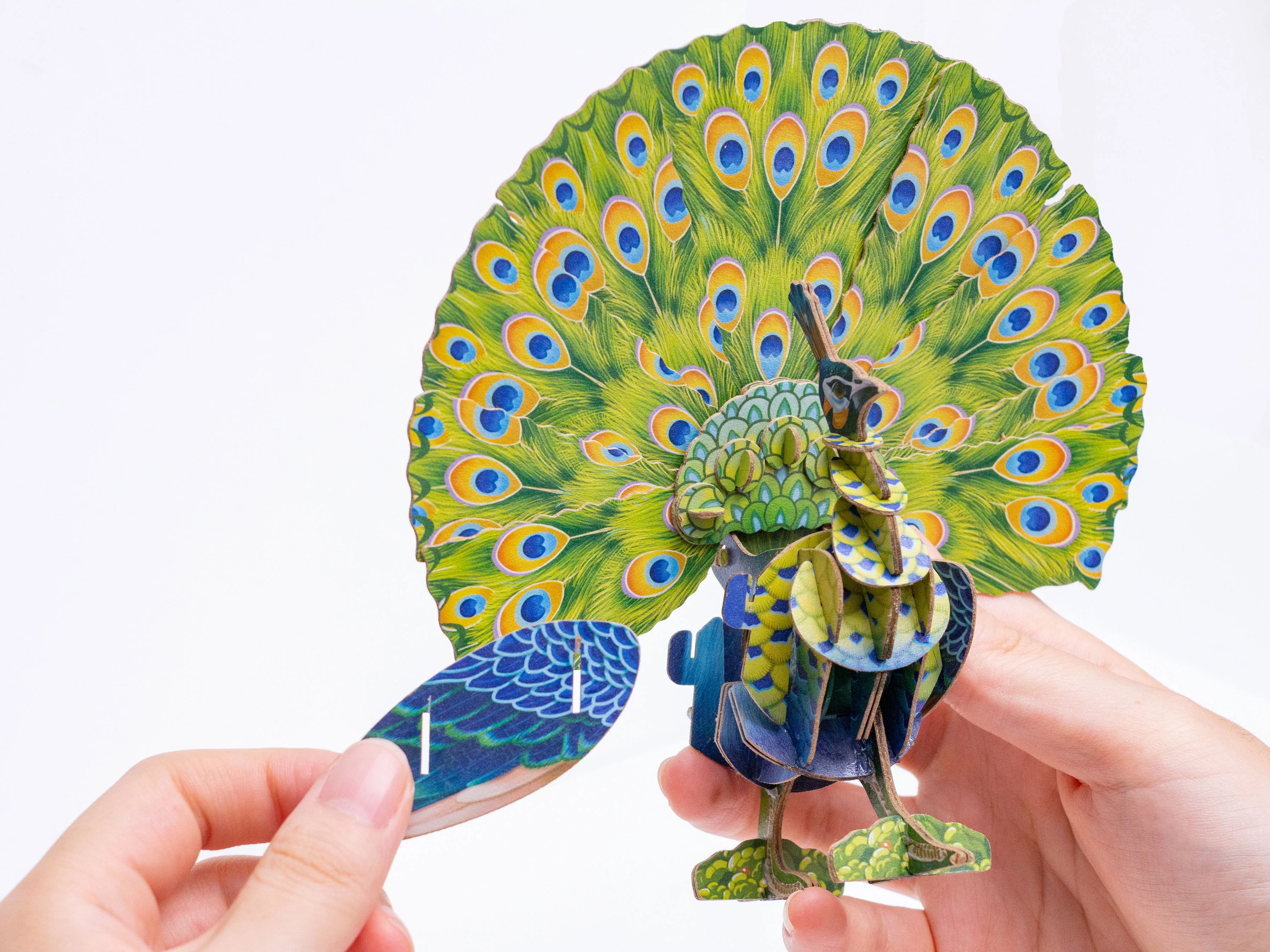 Voices of Nature - Green Peacock - Image 2