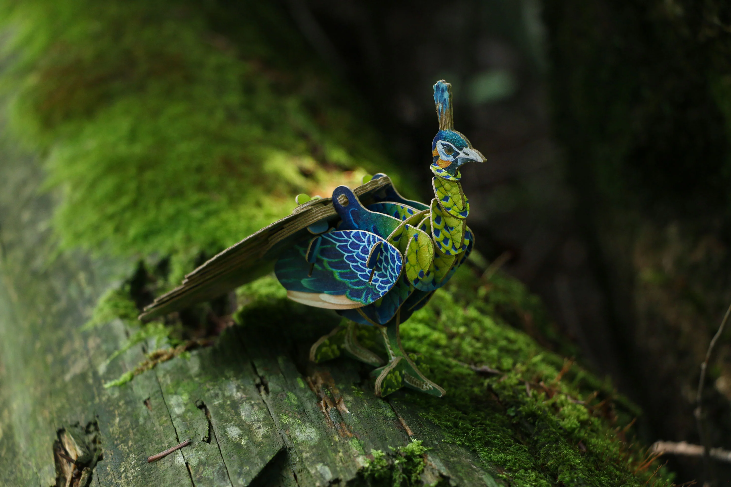 Voices of Nature - Green Peacock - Image 3