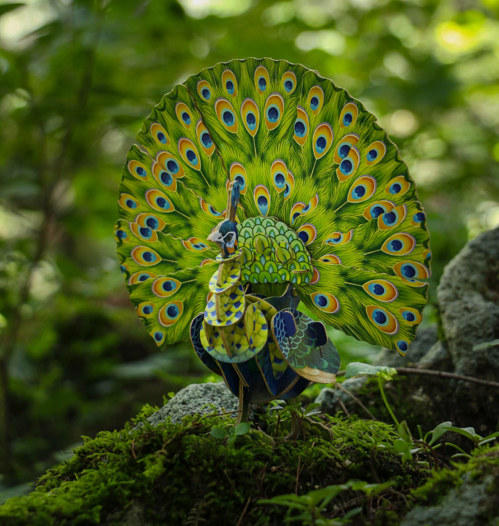 Voices of Nature - Green Peacock - Image 4