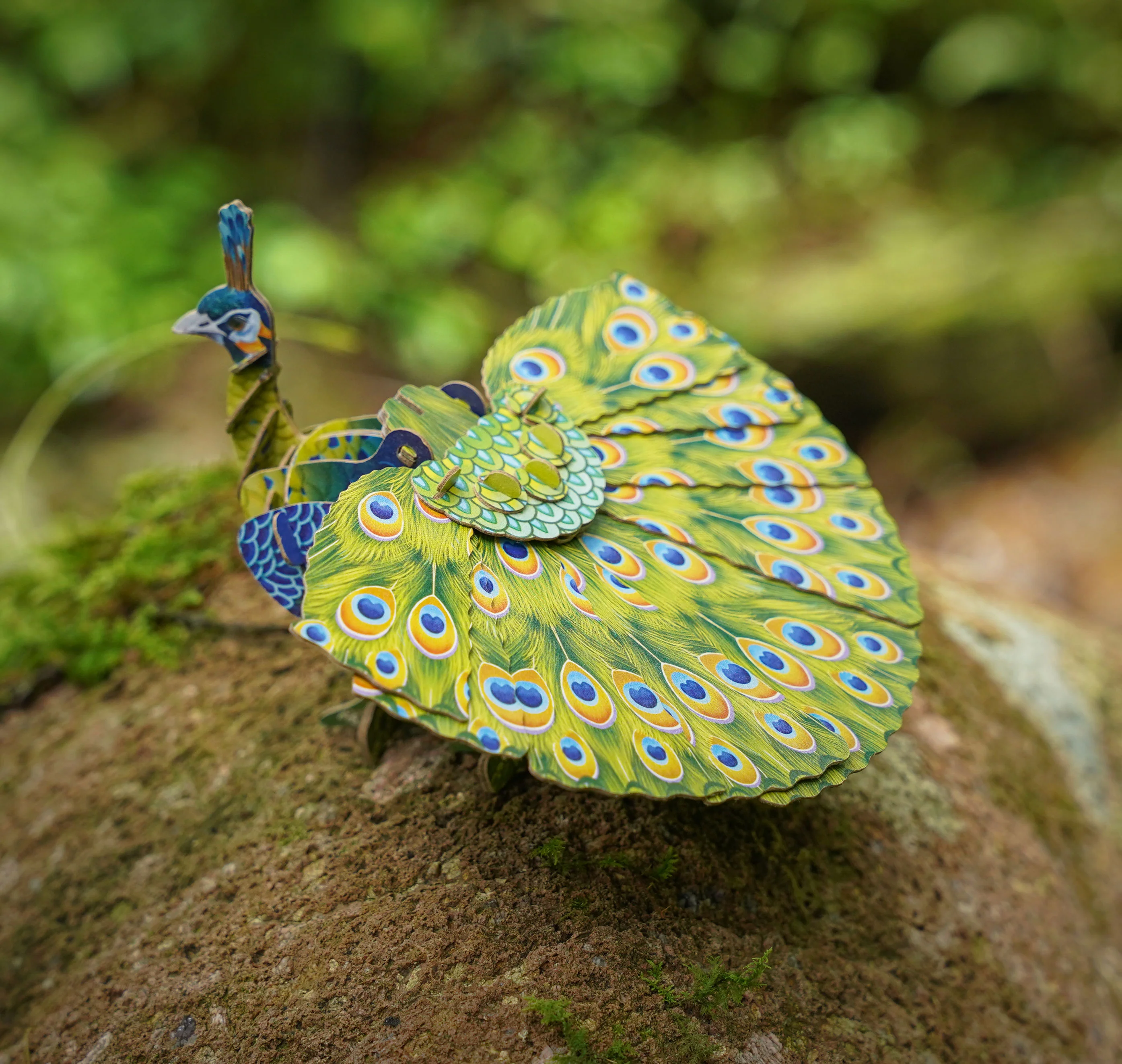 Voices of Nature - Green Peacock - Image 5