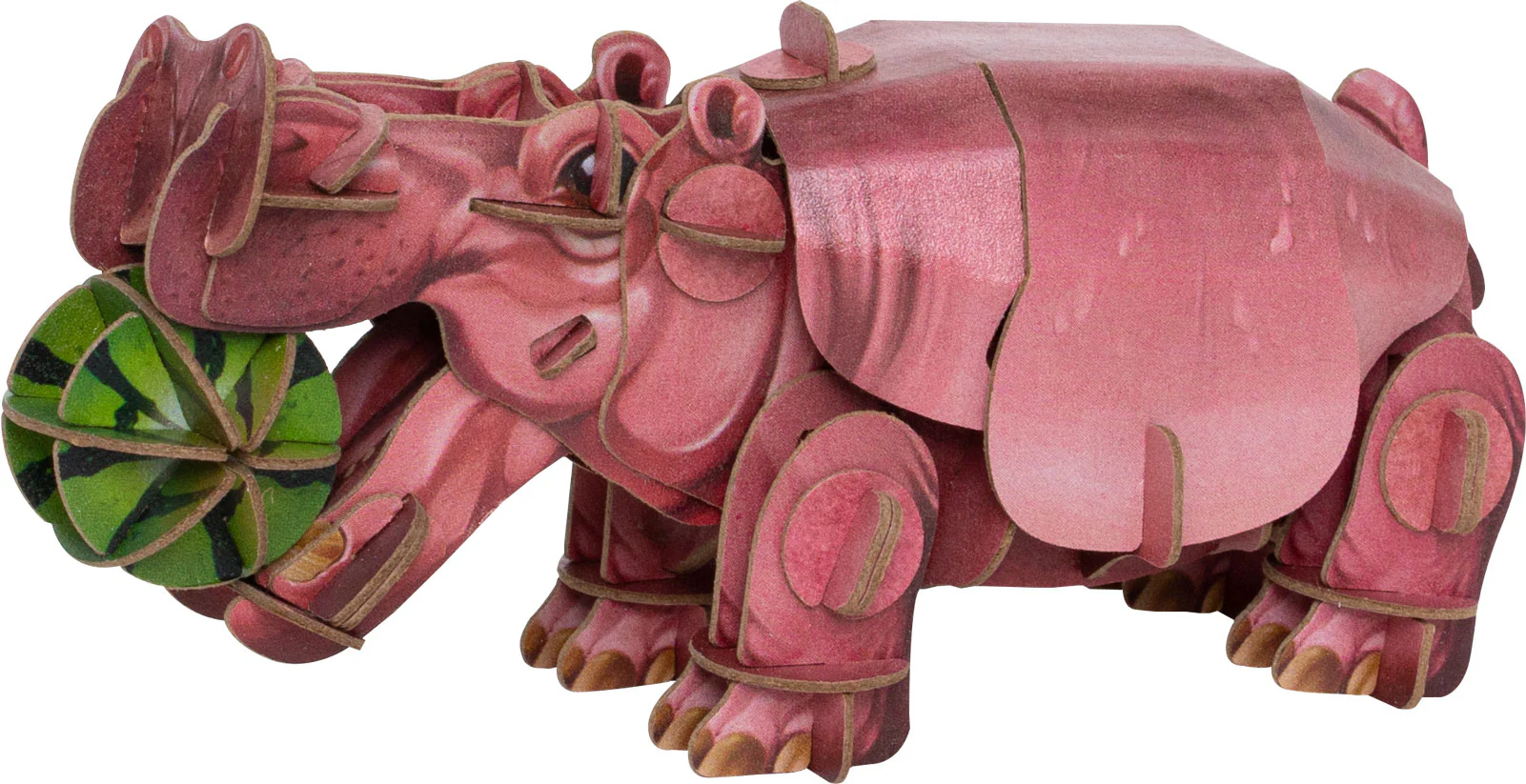 Voices of Nature- Hippo - Image 2