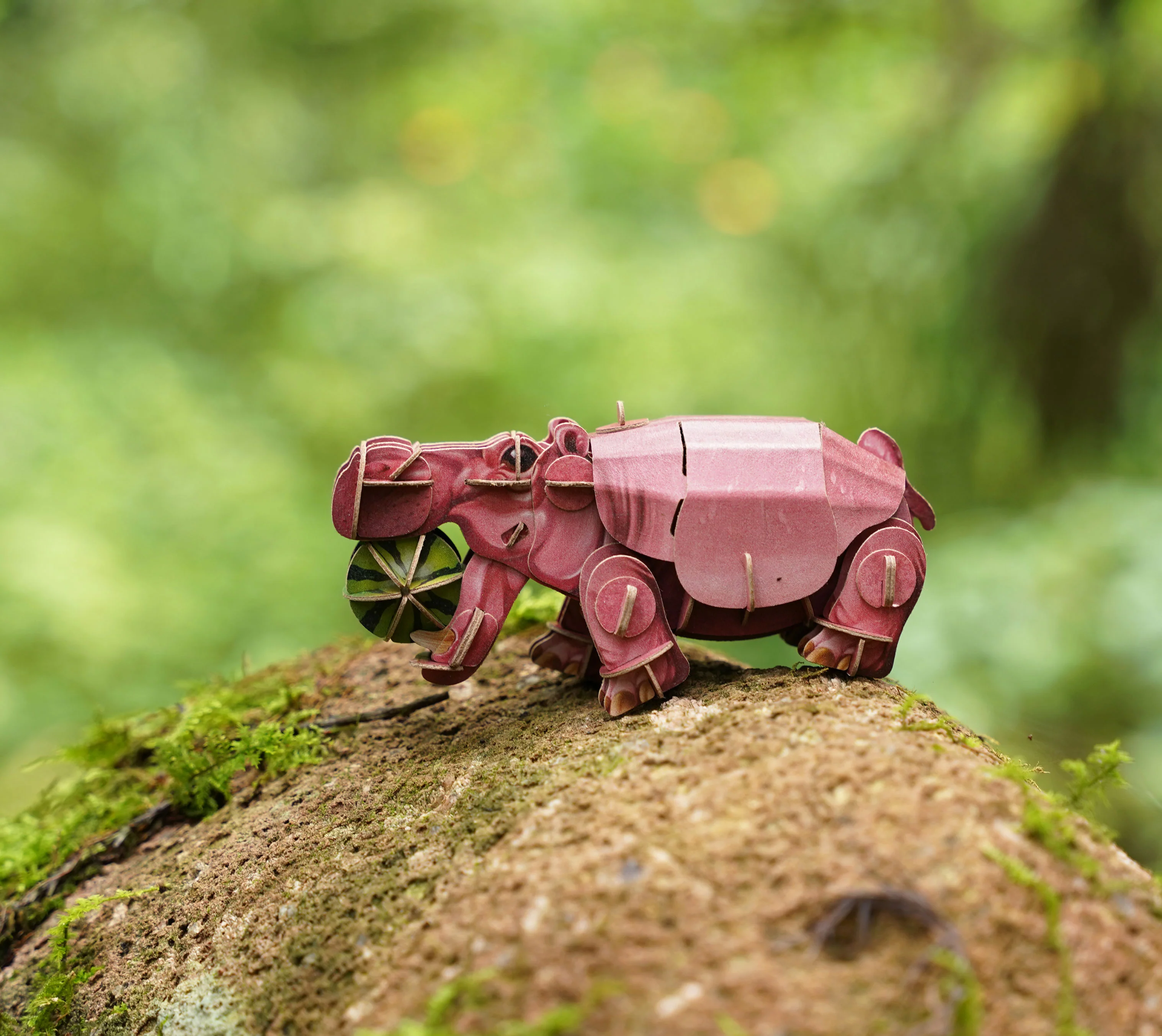 Voices of Nature- Hippo - Image 5