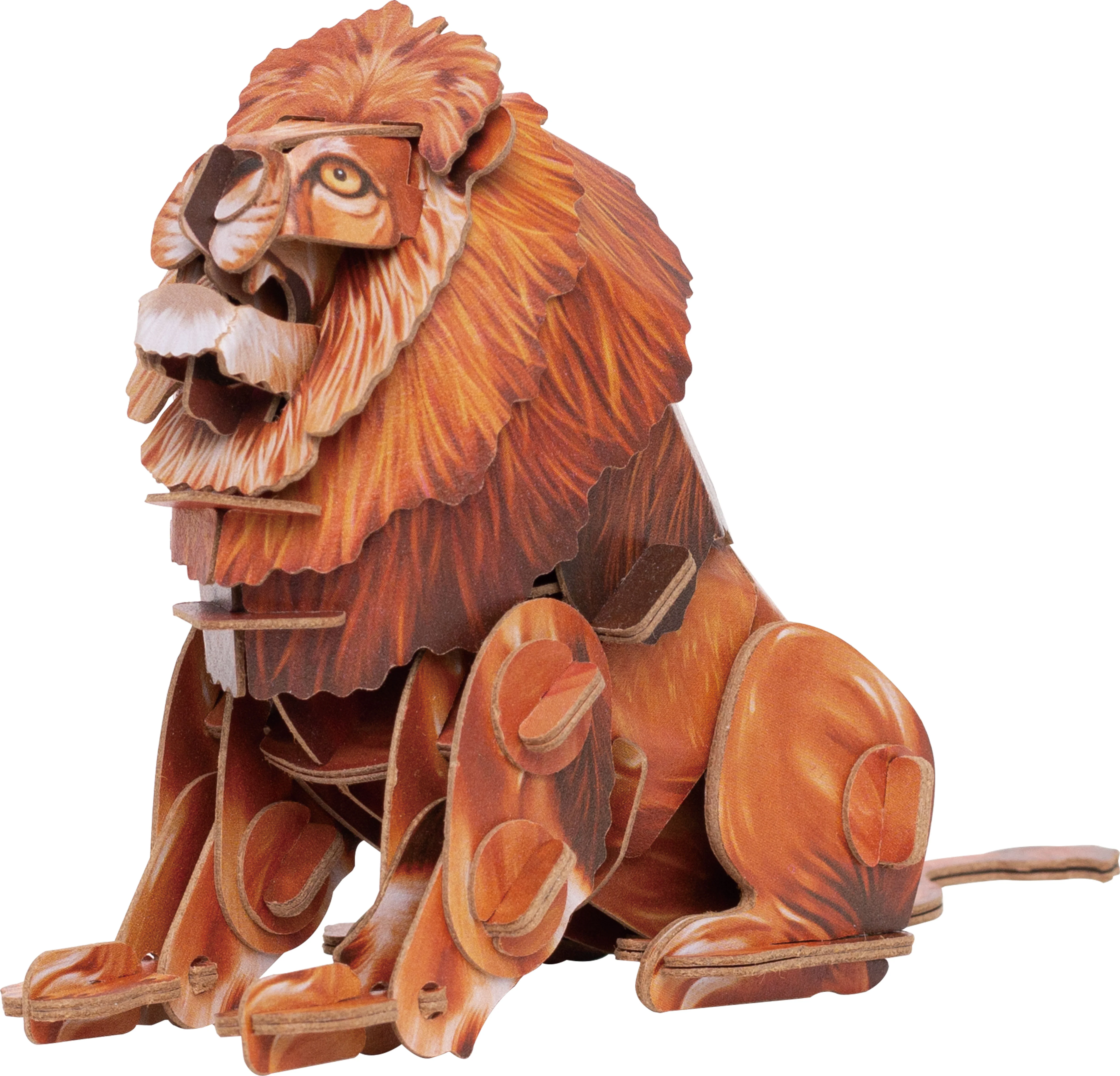 Voices of Nature- Lion