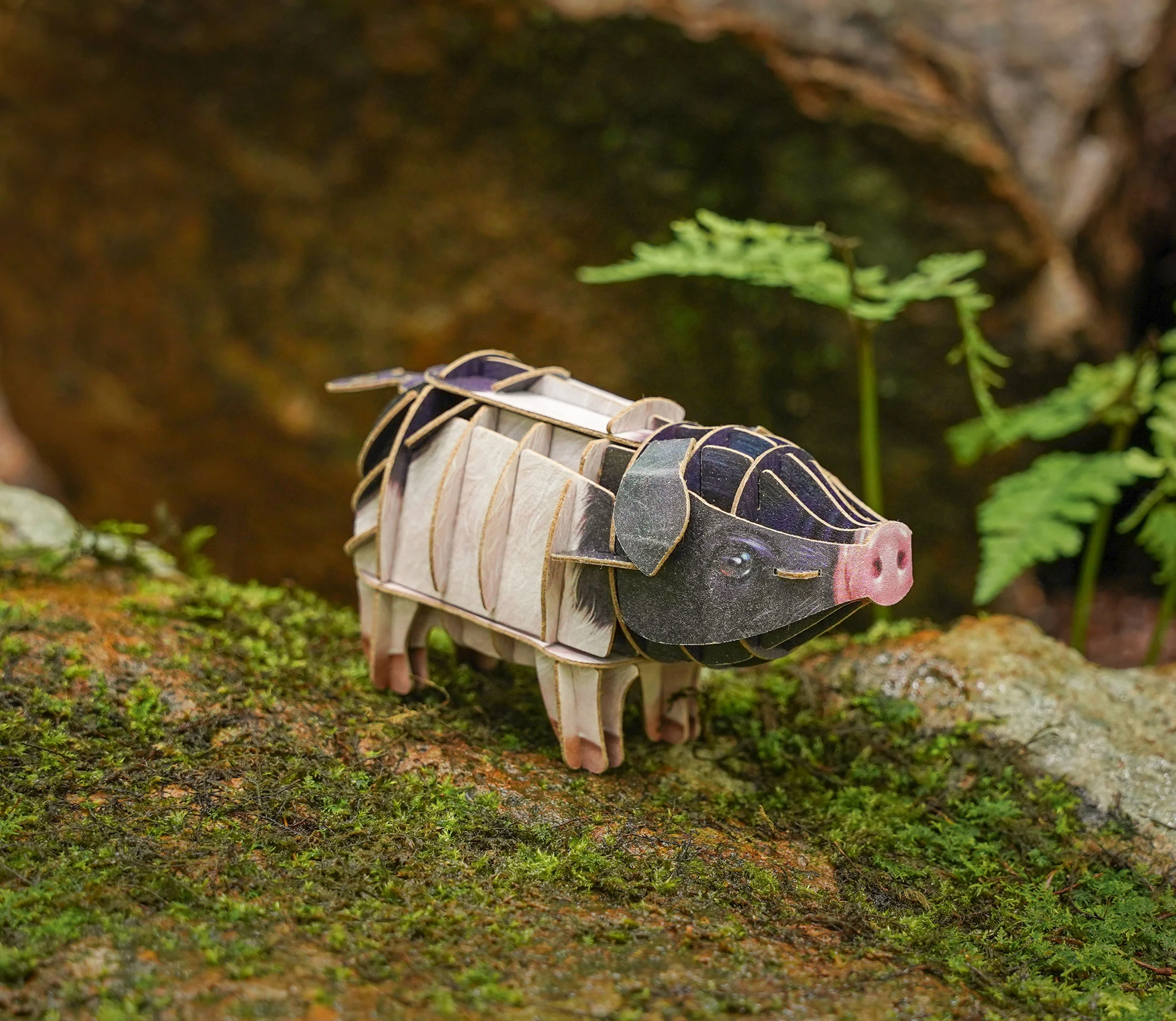 Voices of Nature- Pig - Image 3