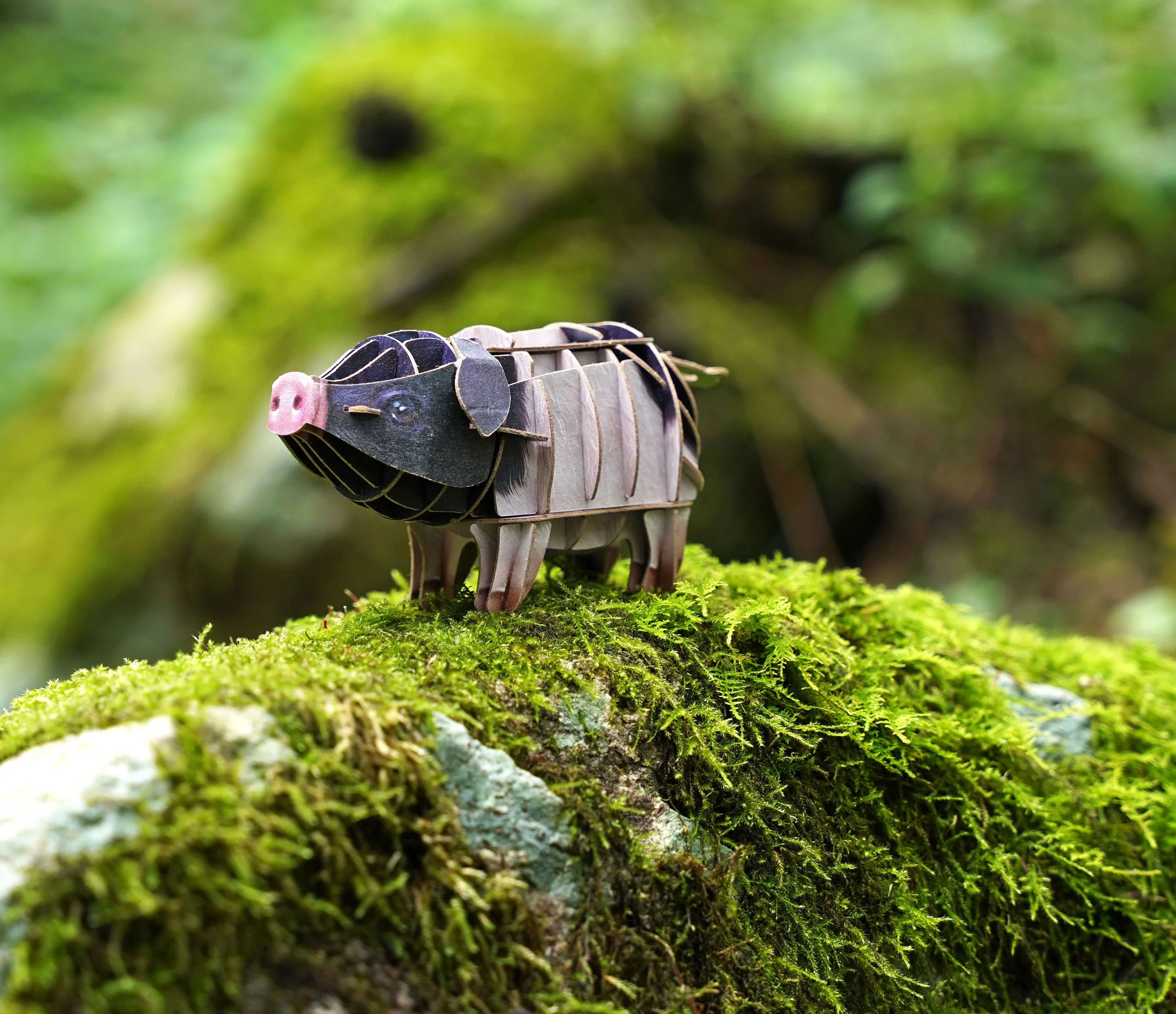 Voices of Nature- Pig - Image 4