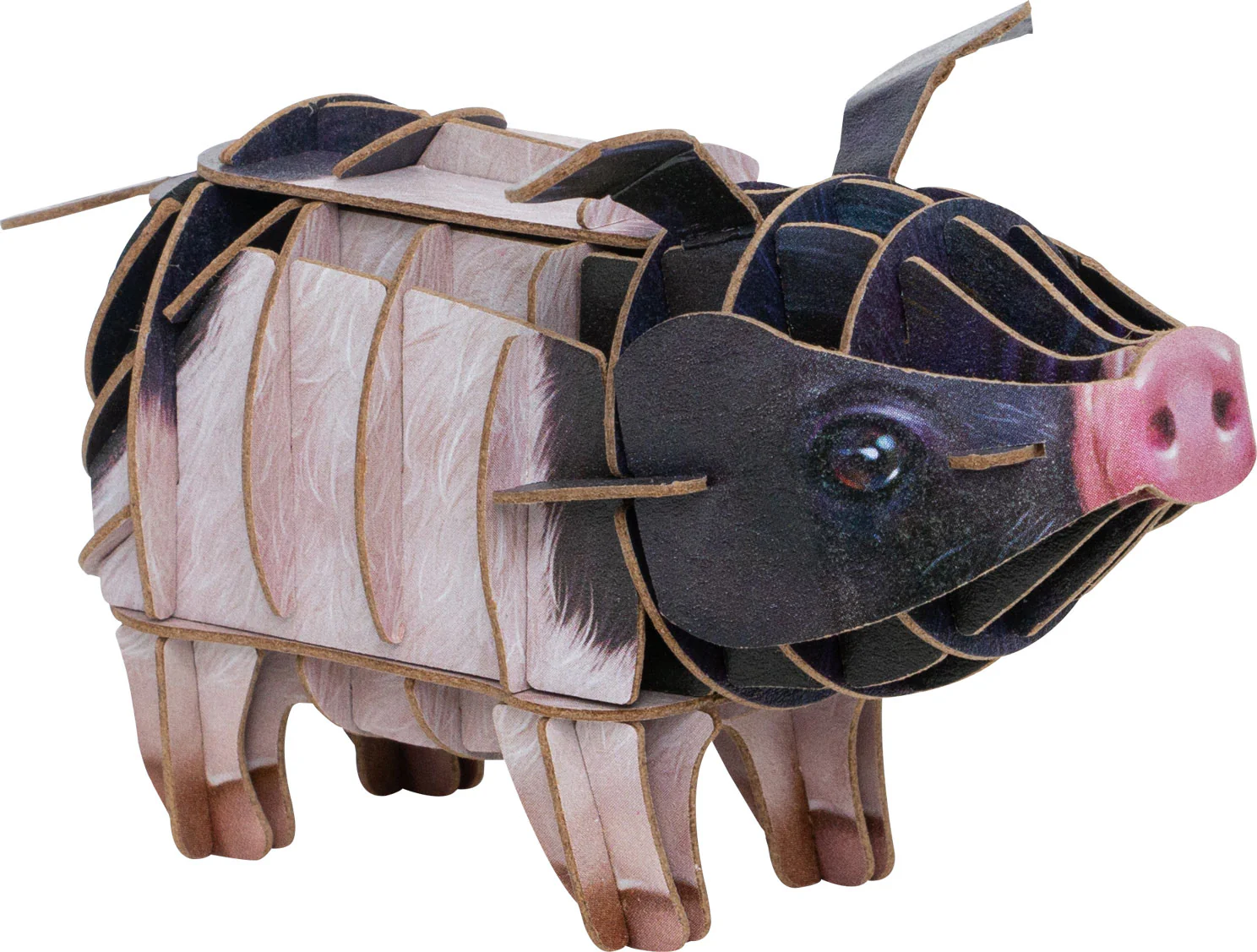 Voices of Nature- Pig - Image 5