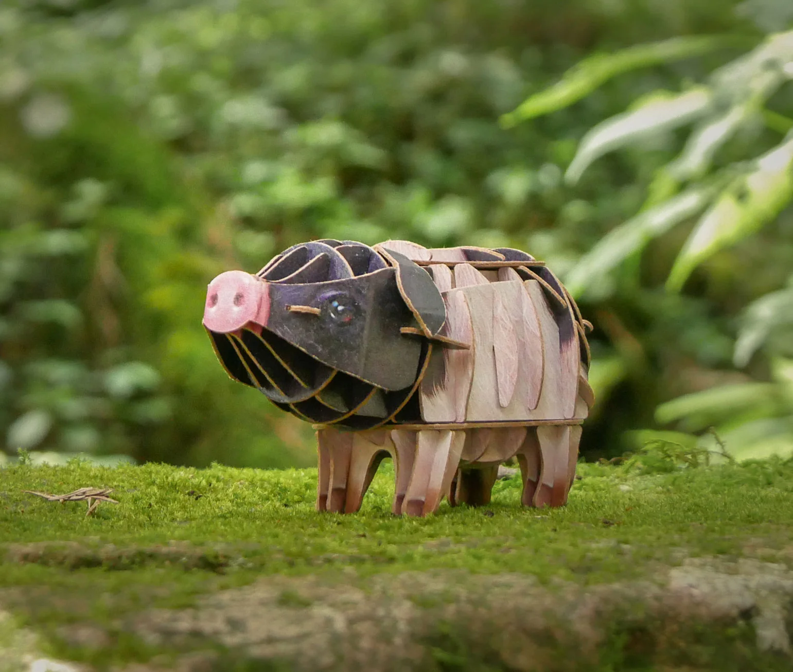 Voices of Nature- Pig - Image 6