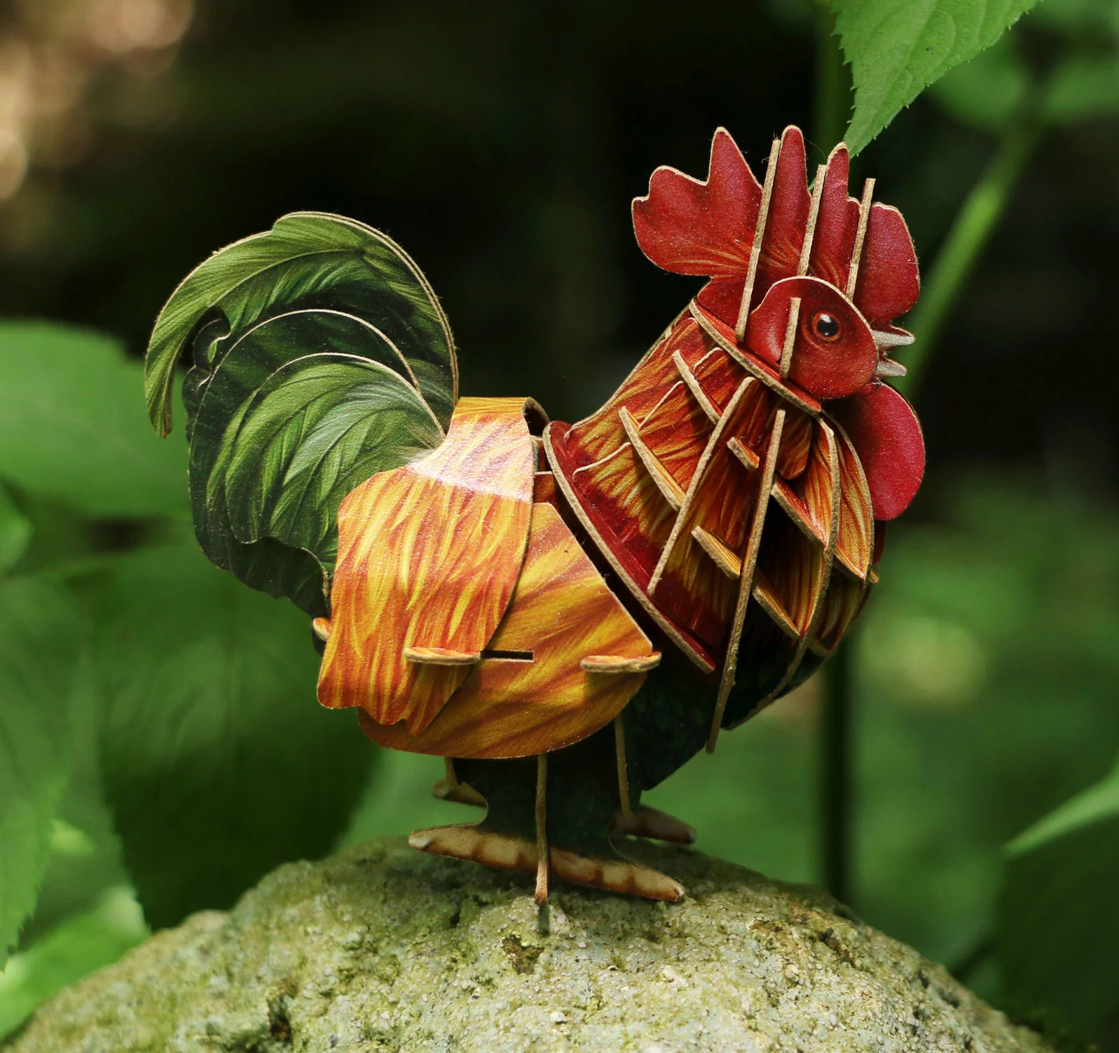 Voices of Nature - Rooster - Image 4