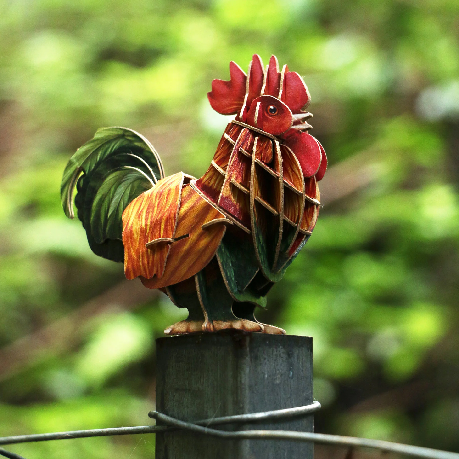 Voices of Nature - Rooster - Image 5