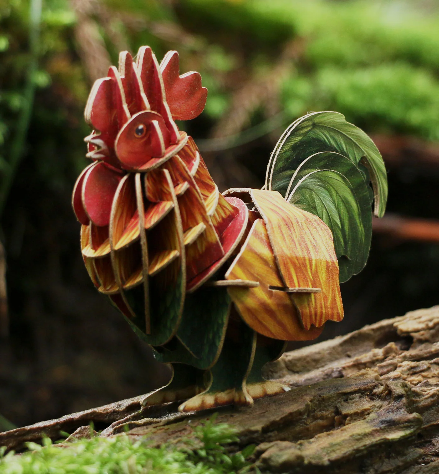 Voices of Nature - Rooster - Image 7